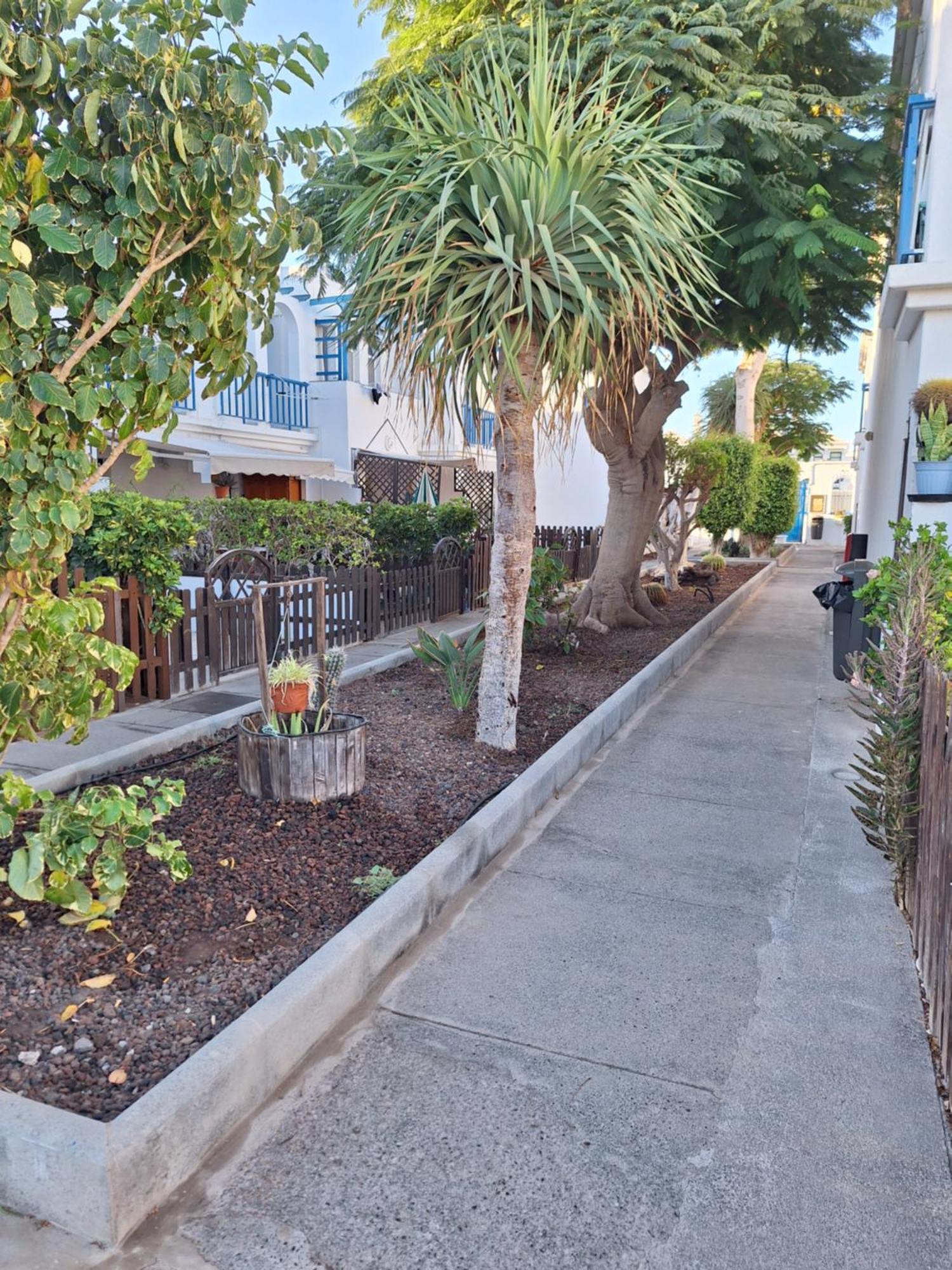 Poolfront Bungalow Playa del Ingles  Exterior photo